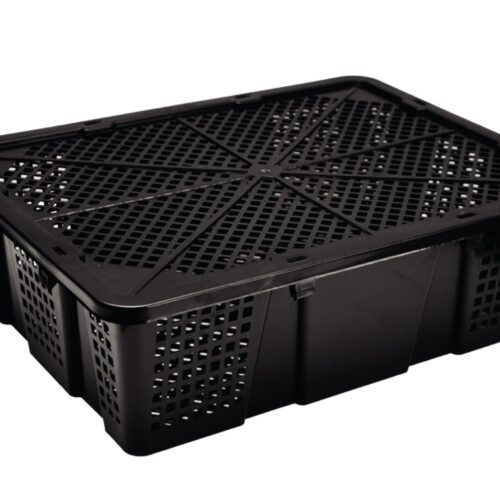Cajón Bayberry