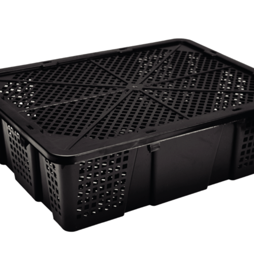 Cajón Bayberry