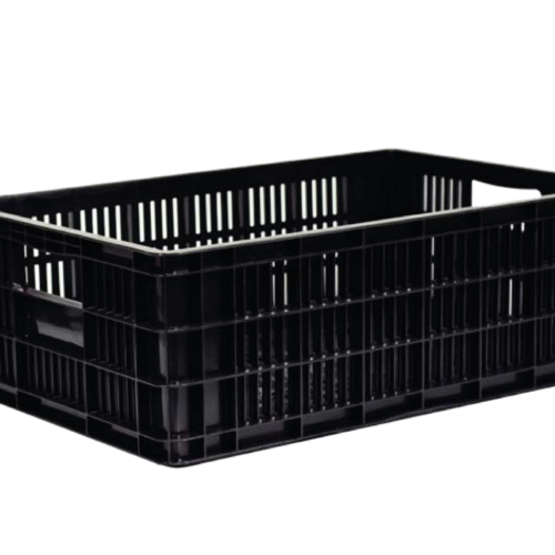 Canasto 60 × 40 × 20